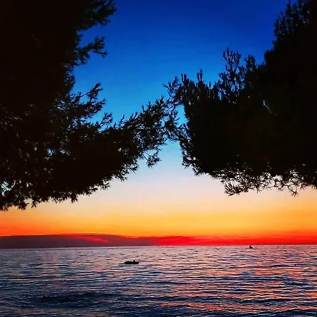 Bp * Porec